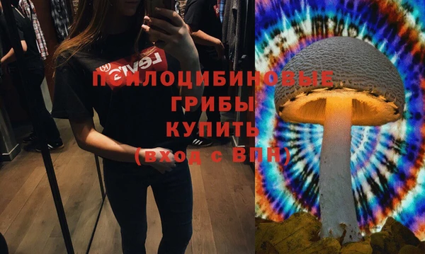 ешки Алзамай